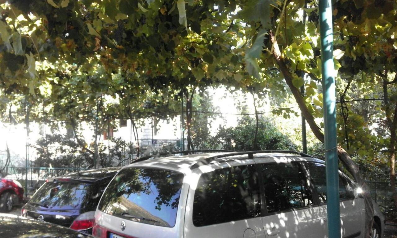 Apartments Jovana Petrovac Exterior foto